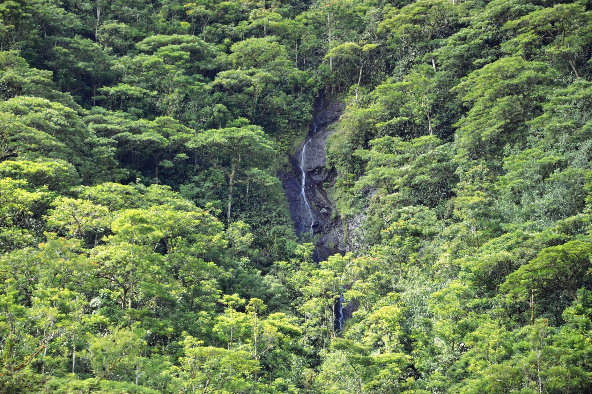 ile-societe-polynesie