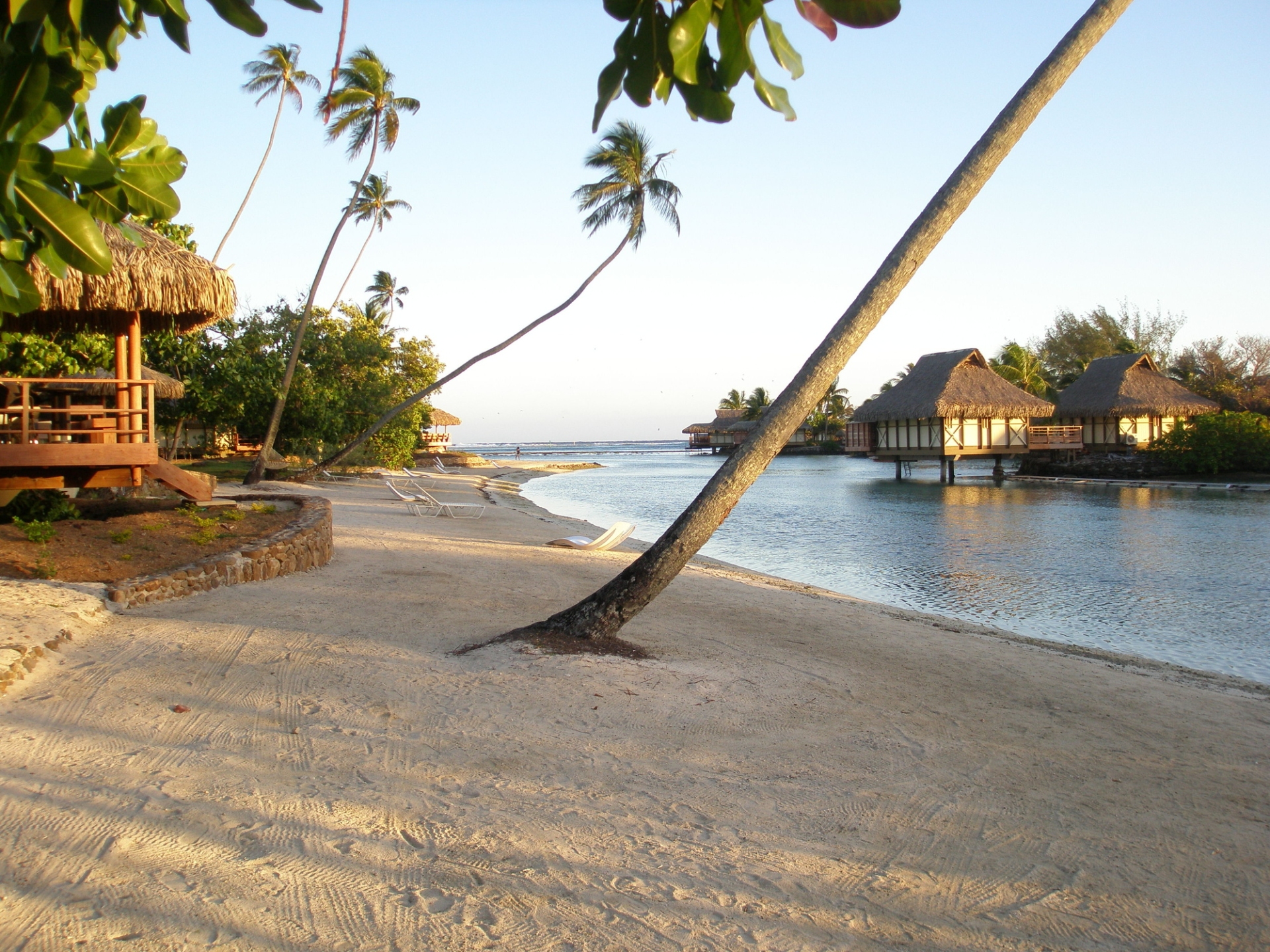 plage-hors-des-sentiers-battus-moorea-tahiti