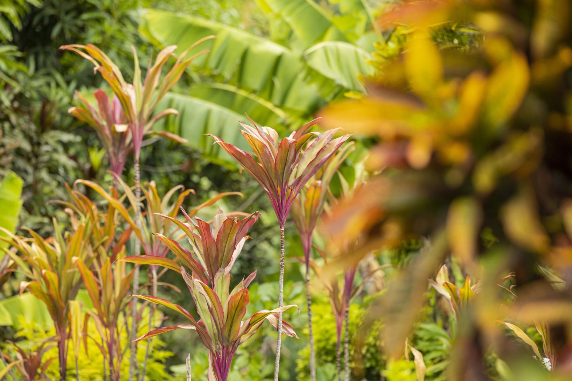 quand-partir-polynesie-nuku-hiva