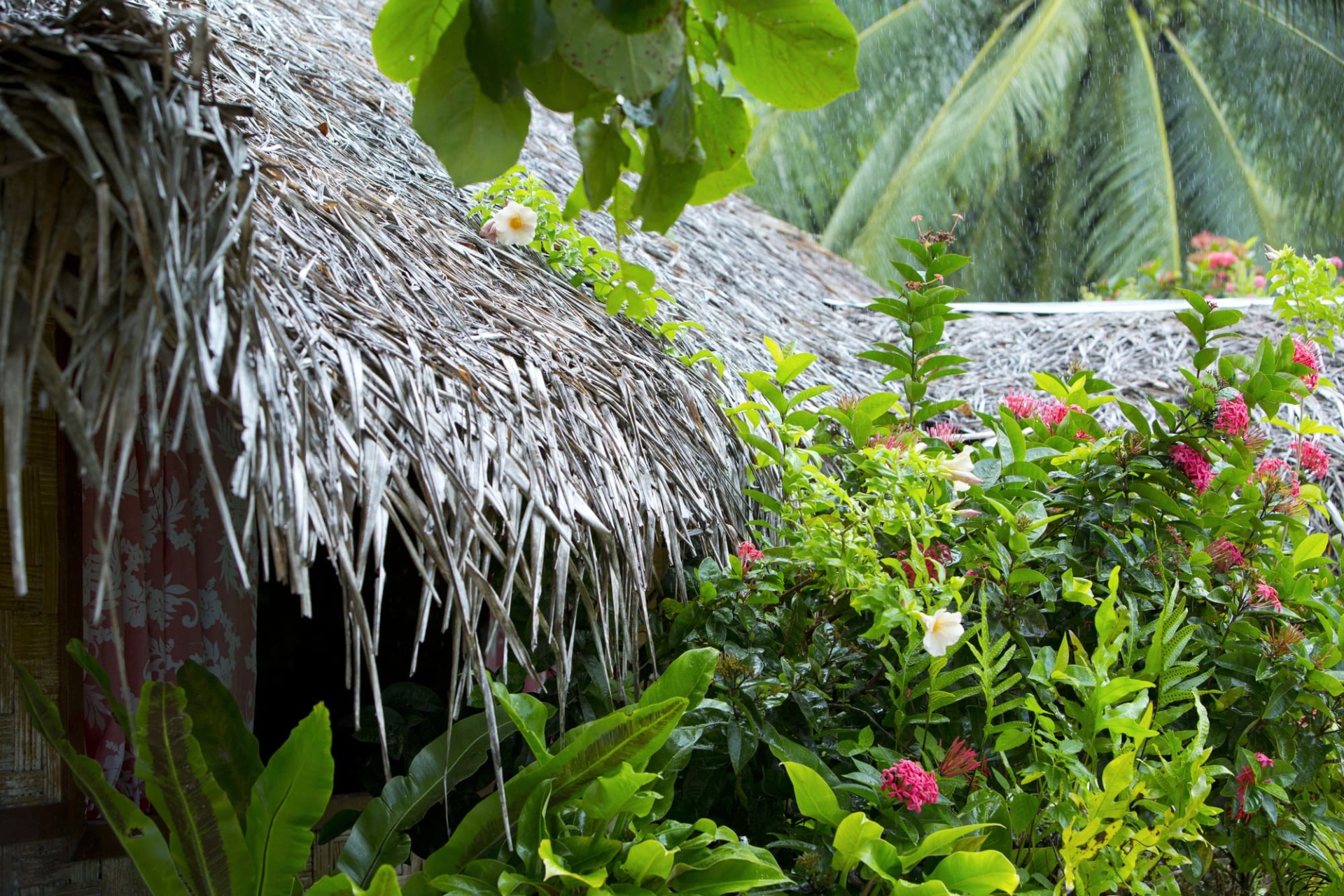 que-faire-polynesie-huahine