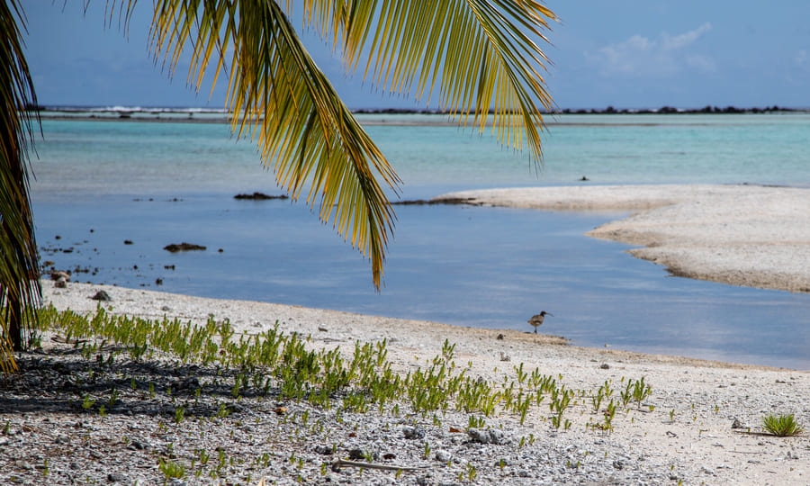 Rangiroa